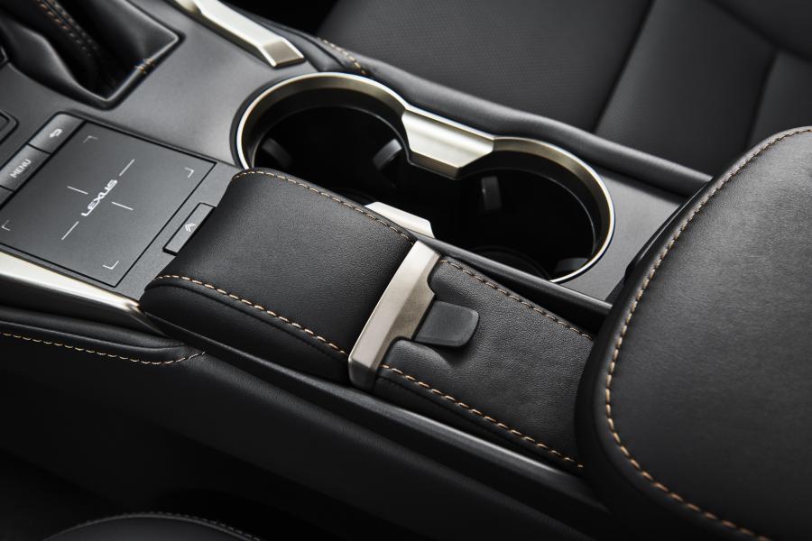 Детали интерьера Lexus NX300 Black Line 2019 года  (NA) (фото 3 из 9)